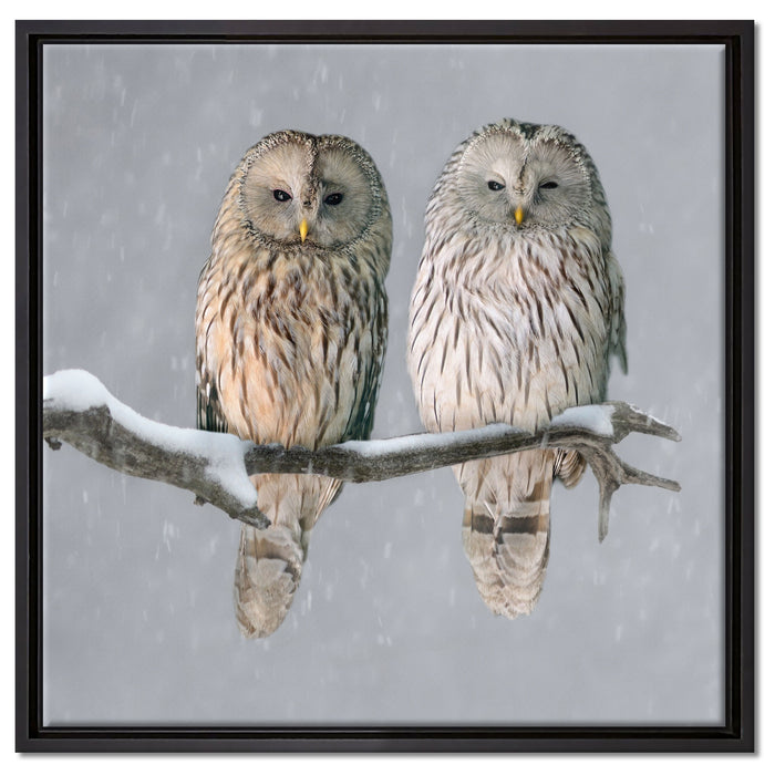Zwei Eulen in Winterlandschaft auf Leinwandbild Quadratisch gerahmt Größe 60x60