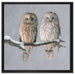 Zwei Eulen in Winterlandschaft auf Leinwandbild Quadratisch gerahmt Größe 60x60