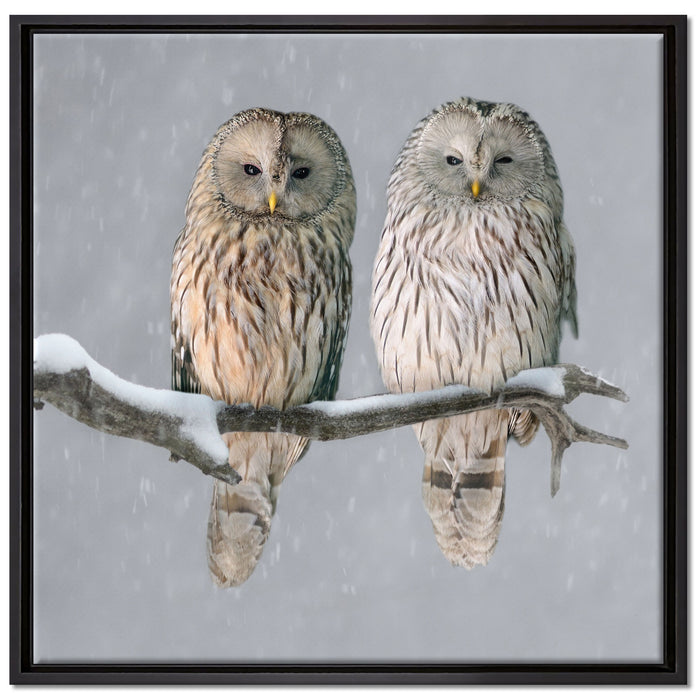 Zwei Eulen in Winterlandschaft auf Leinwandbild Quadratisch gerahmt Größe 70x70