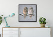 Zwei Eulen in Winterlandschaft auf Leinwandbild gerahmt Quadratisch verschiedene Größen im Wohnzimmer