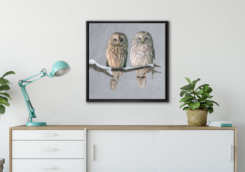 Zwei Eulen in Winterlandschaft auf Leinwandbild gerahmt Quadratisch verschiedene Größen im Wohnzimmer