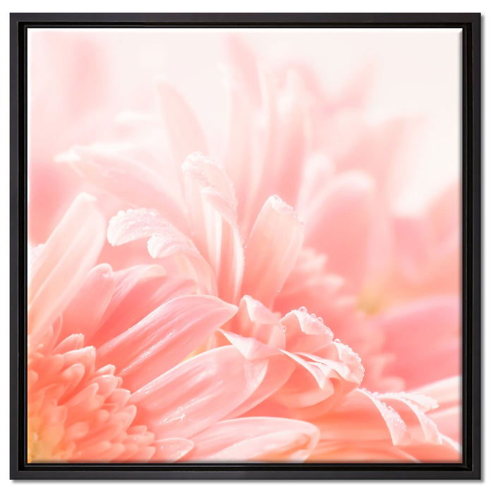 Gerbera Blume auf Leinwandbild Quadratisch gerahmt Größe 60x60