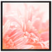 Gerbera Blume auf Leinwandbild Quadratisch gerahmt Größe 70x70