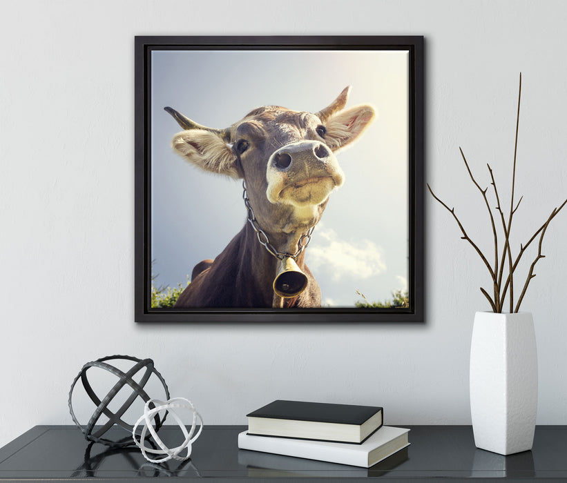 Lustiges Portrait einer Kuh  auf Leinwandbild Quadratisch gerahmt mit Kirschblüten