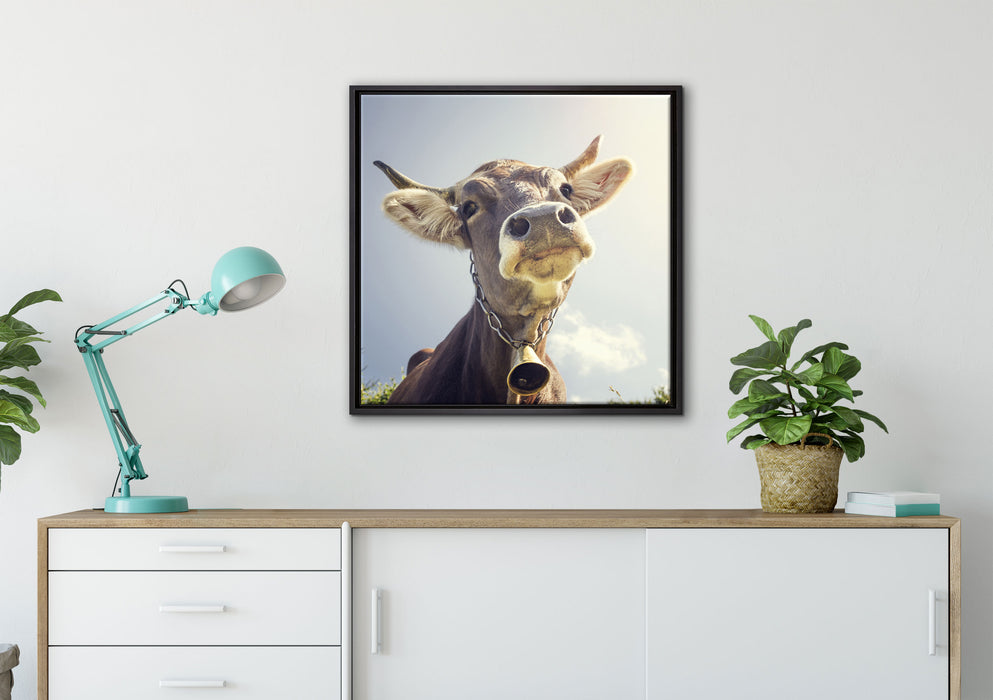 Lustiges Portrait einer Kuh auf Leinwandbild gerahmt Quadratisch verschiedene Größen im Wohnzimmer