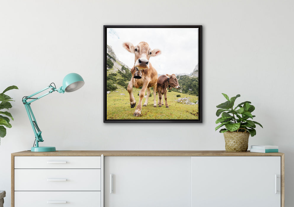 Almkuh auf der Weide auf Leinwandbild gerahmt Quadratisch verschiedene Größen im Wohnzimmer
