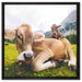 Almkuh in den Bergen auf Leinwandbild Quadratisch gerahmt Größe 60x60