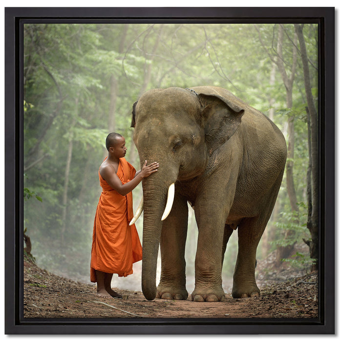 wunderschöner Elefant mit Mönch auf Leinwandbild Quadratisch gerahmt Größe 40x40