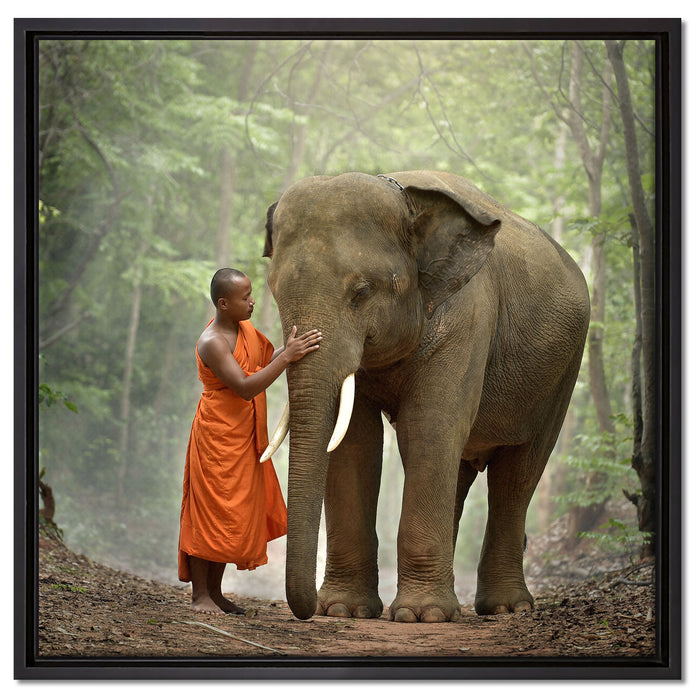 wunderschöner Elefant mit Mönch auf Leinwandbild Quadratisch gerahmt Größe 60x60