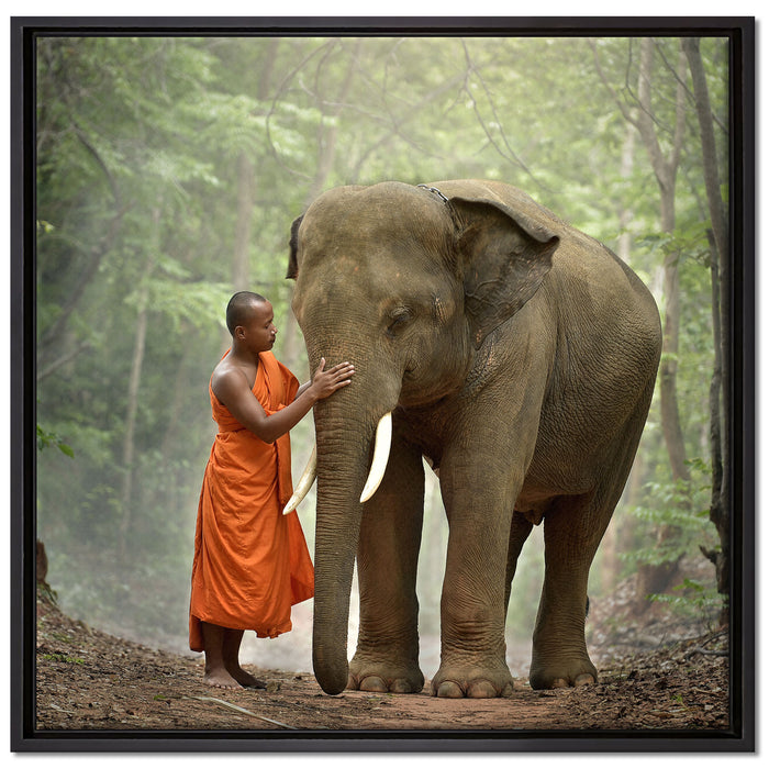 wunderschöner Elefant mit Mönch auf Leinwandbild Quadratisch gerahmt Größe 70x70