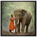 wunderschöner Elefant mit Mönch auf Leinwandbild Quadratisch gerahmt Größe 70x70