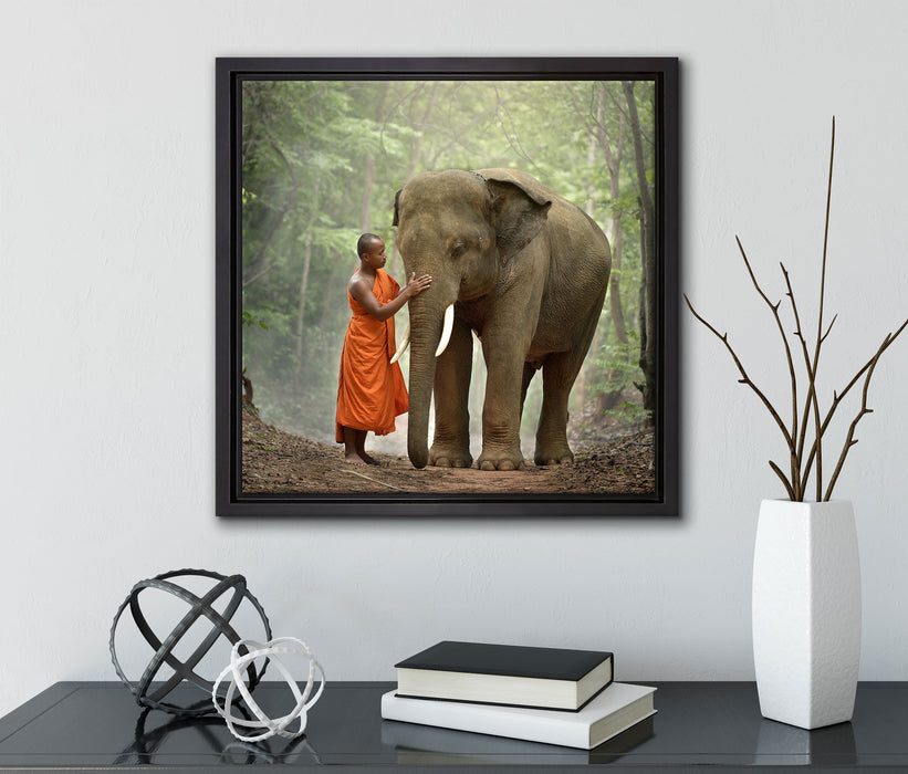 wunderschöner Elefant mit Mönch  auf Leinwandbild Quadratisch gerahmt mit Kirschblüten