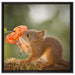 Eichhörnchen riecht an einer Blume auf Leinwandbild Quadratisch gerahmt Größe 60x60