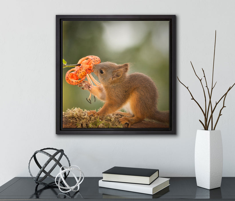 Eichhörnchen riecht an einer Blume  auf Leinwandbild Quadratisch gerahmt mit Kirschblüten