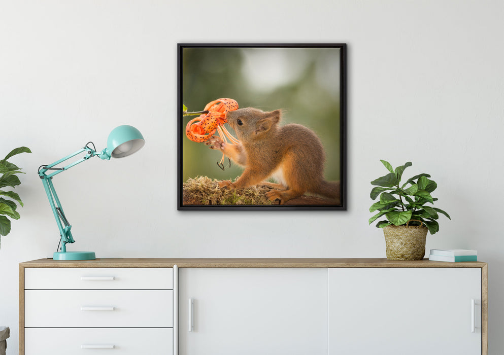 Eichhörnchen riecht an einer Blume auf Leinwandbild gerahmt Quadratisch verschiedene Größen im Wohnzimmer