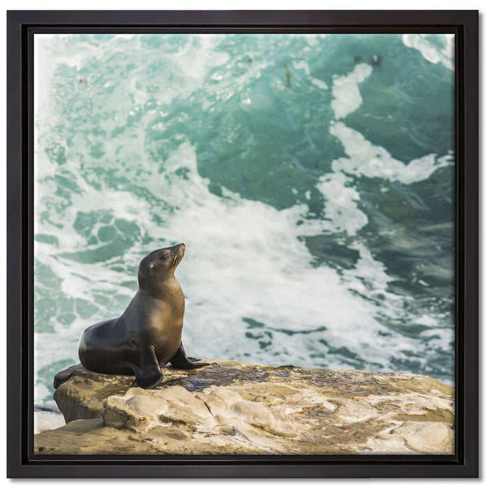 süße Robbe sonnt sich auf Leinwandbild Quadratisch gerahmt Größe 40x40