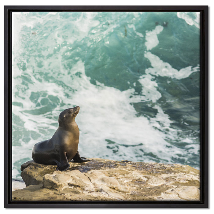 süße Robbe sonnt sich auf Leinwandbild Quadratisch gerahmt Größe 60x60