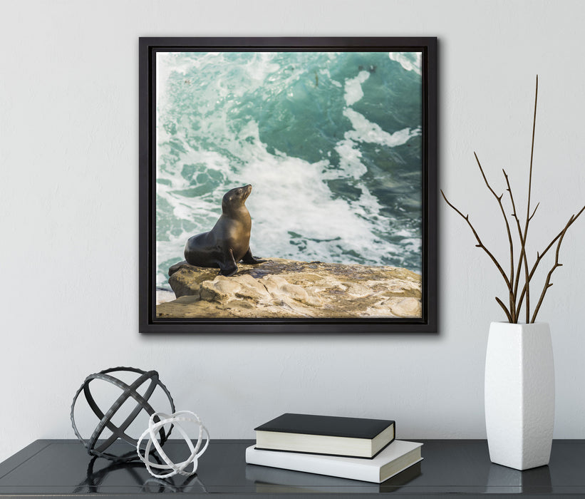 süße Robbe sonnt sich  auf Leinwandbild Quadratisch gerahmt mit Kirschblüten