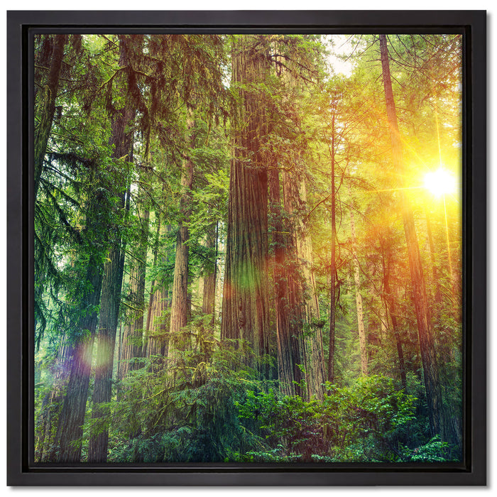 Wald bei Sonnenlicht auf Leinwandbild Quadratisch gerahmt Größe 40x40