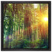 Wald bei Sonnenlicht auf Leinwandbild Quadratisch gerahmt Größe 40x40