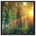 Wald bei Sonnenlicht auf Leinwandbild Quadratisch gerahmt Größe 60x60