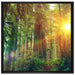 Wald bei Sonnenlicht auf Leinwandbild Quadratisch gerahmt Größe 70x70