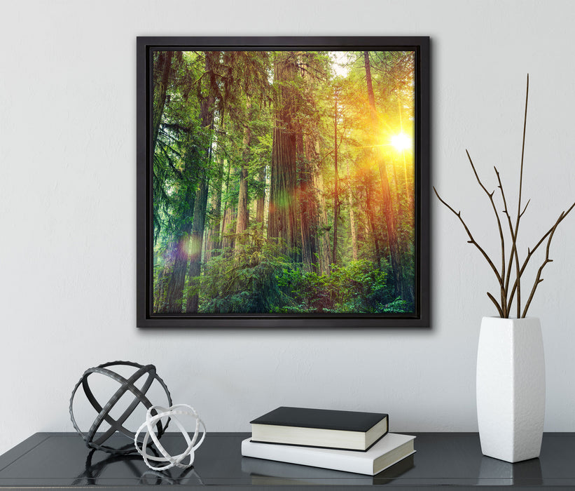 Wald bei Sonnenlicht  auf Leinwandbild Quadratisch gerahmt mit Kirschblüten