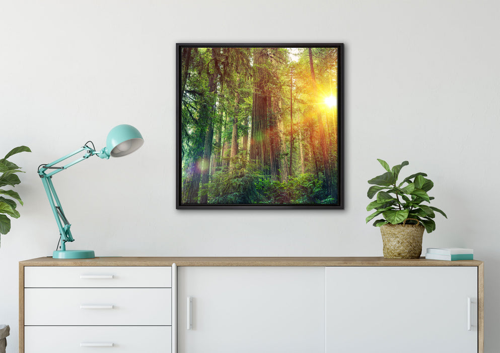 Wald bei Sonnenlicht auf Leinwandbild gerahmt Quadratisch verschiedene Größen im Wohnzimmer