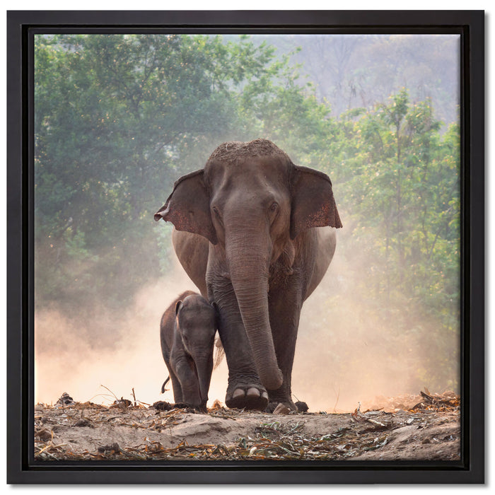 Elefantenbaby mit Mutter auf Leinwandbild Quadratisch gerahmt Größe 40x40