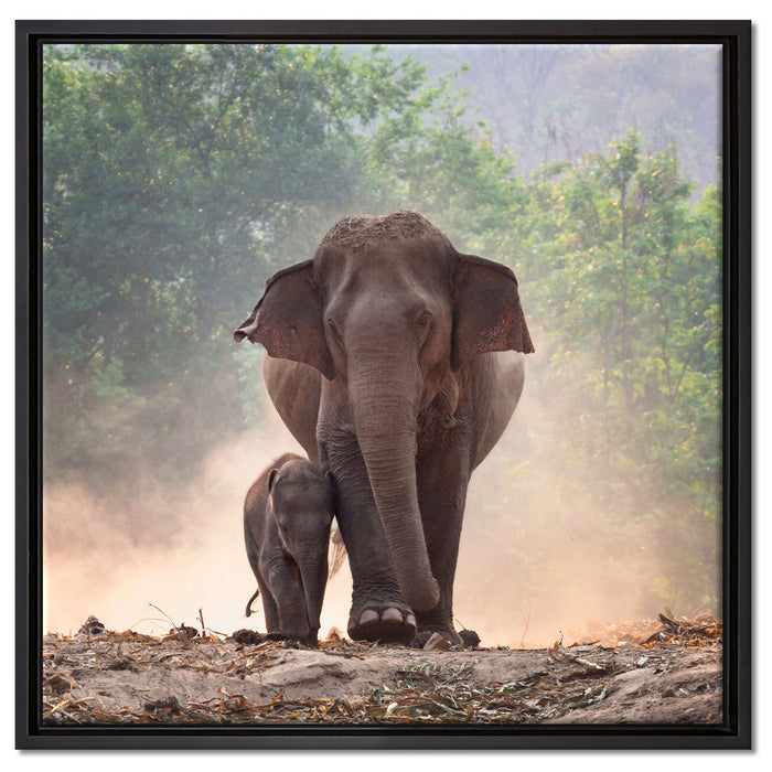Elefantenbaby mit Mutter auf Leinwandbild Quadratisch gerahmt Größe 60x60