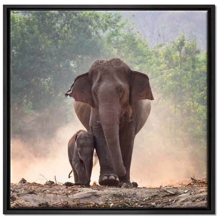 Elefantenbaby mit Mutter auf Leinwandbild Quadratisch gerahmt Größe 70x70