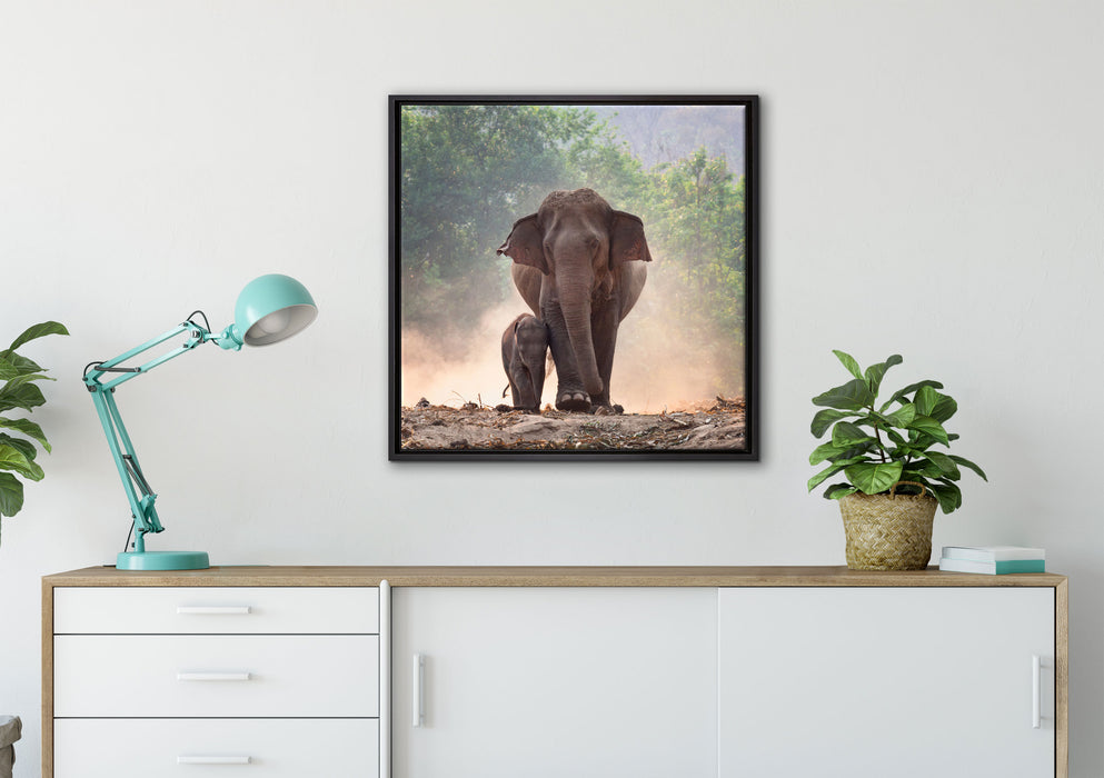 Elefantenbaby mit Mutter auf Leinwandbild gerahmt Quadratisch verschiedene Größen im Wohnzimmer