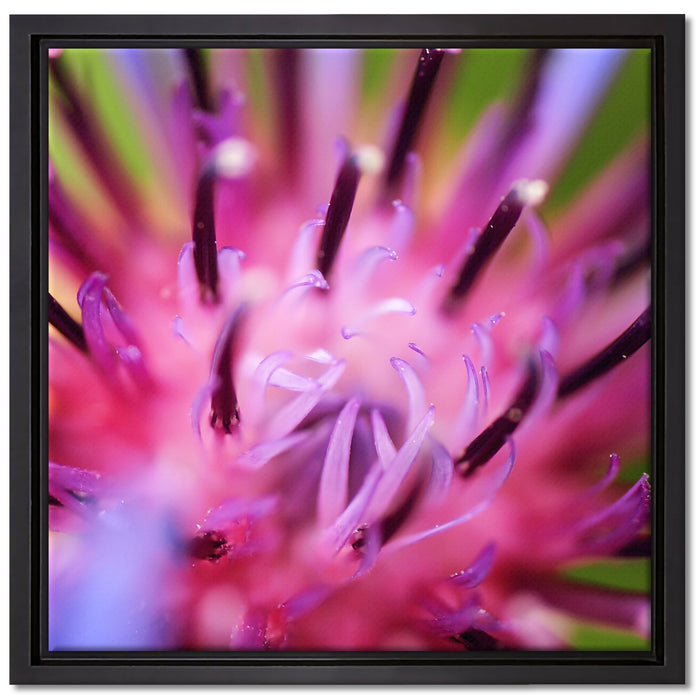 wunderschöne lila Blume im Fokus auf Leinwandbild Quadratisch gerahmt Größe 40x40