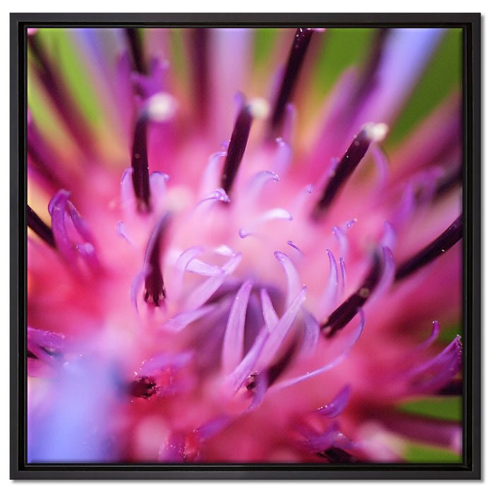 wunderschöne lila Blume im Fokus auf Leinwandbild Quadratisch gerahmt Größe 60x60