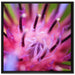 wunderschöne lila Blume im Fokus auf Leinwandbild Quadratisch gerahmt Größe 70x70