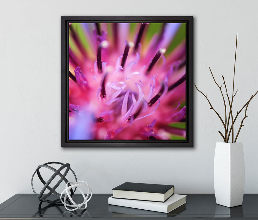 wunderschöne lila Blume im Fokus  auf Leinwandbild Quadratisch gerahmt mit Kirschblüten