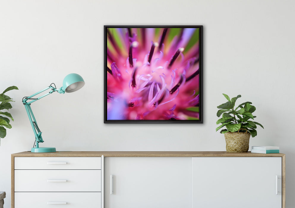 wunderschöne lila Blume im Fokus auf Leinwandbild gerahmt Quadratisch verschiedene Größen im Wohnzimmer