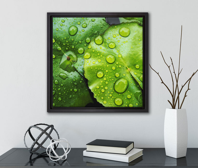 die Blätter mit den Wassertropfen  auf Leinwandbild Quadratisch gerahmt mit Kirschblüten