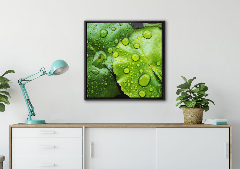 die Blätter mit den Wassertropfen auf Leinwandbild gerahmt Quadratisch verschiedene Größen im Wohnzimmer
