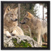 Wölfe im Wald auf Leinwandbild Quadratisch gerahmt Größe 40x40
