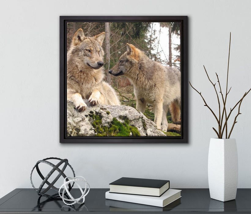 Wölfe im Wald  auf Leinwandbild Quadratisch gerahmt mit Kirschblüten