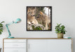 Wölfe im Wald auf Leinwandbild gerahmt Quadratisch verschiedene Größen im Wohnzimmer