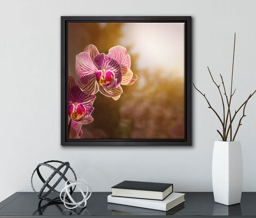 farbenOrchideen in der Nahaufnahme  auf Leinwandbild Quadratisch gerahmt mit Kirschblüten
