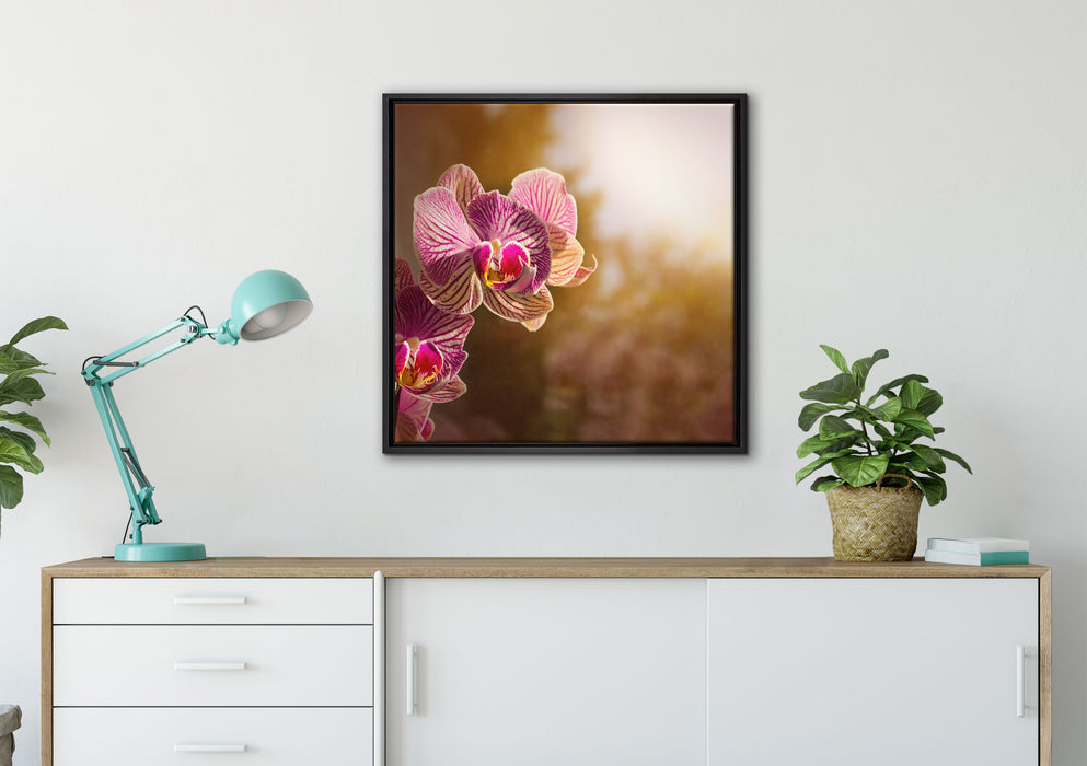 farbenOrchideen in der Nahaufnahme auf Leinwandbild gerahmt Quadratisch verschiedene Größen im Wohnzimmer