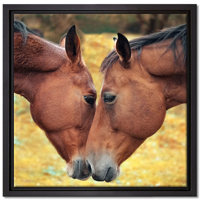 zwei schmusende Pferde auf Leinwandbild Quadratisch gerahmt Größe 40x40