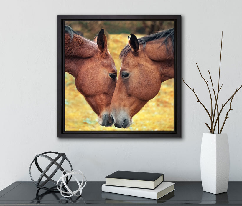 zwei schmusende Pferde  auf Leinwandbild Quadratisch gerahmt mit Kirschblüten