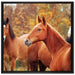 schöne Pferde auf der Wiese auf Leinwandbild Quadratisch gerahmt Größe 70x70