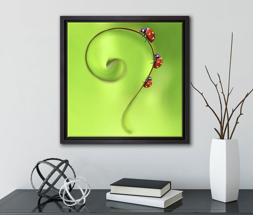 Marienkäfer Fragezeichen  auf Leinwandbild Quadratisch gerahmt mit Kirschblüten