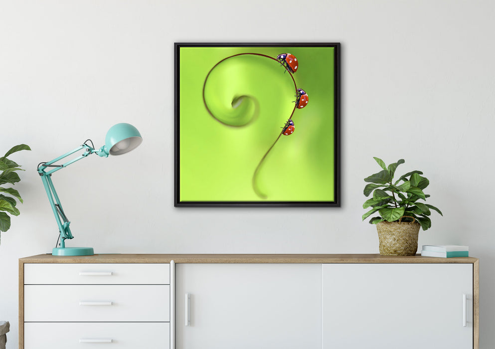 Marienkäfer Fragezeichen auf Leinwandbild gerahmt Quadratisch verschiedene Größen im Wohnzimmer