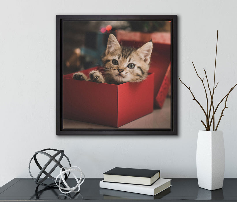 süsses Kätzchen in der Box  auf Leinwandbild Quadratisch gerahmt mit Kirschblüten